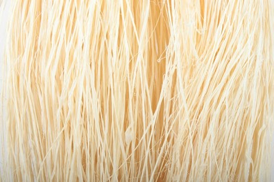 Raffia gebleicht 500g bleached