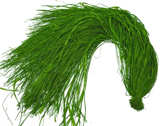 Raffia moosgrün 500g moss green