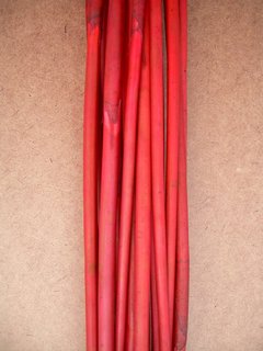 Elephant Reed 90cm rot 20St