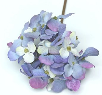 Hortensie Pick blau getr.D10cm Stiel 19cm