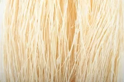 Raffia gebleicht 500g bleached