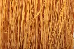 Raffia lemon 500g