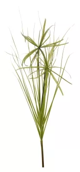 Papyrus Gras grün 66cm Artificial/Nature