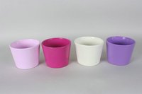 Primeltpf"SOM" 4 fb.so.D10/12 je 4xrosa,pink,violett.3xVanil